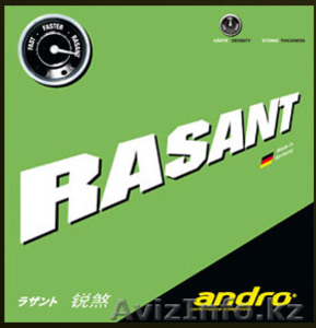Настольный теннис: накладка Andro Rasant  #807202