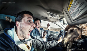 Фотограф Астана #801078