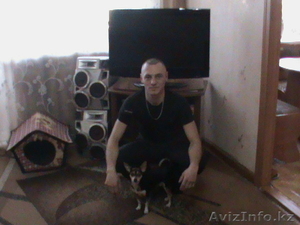 Продам срочно почку #804860