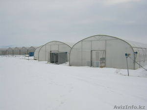 Строительство теплиц монтаж систем капельного орошения #803669