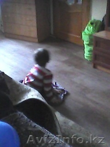 Продам 2-х комнатную квартиру по Сарыарке #804756