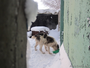 Возьми меня к себе #813194