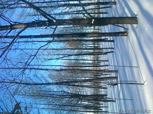 продаю подтоварник #824919