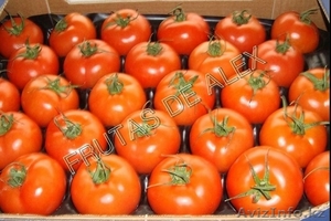 Томаты, огурцы, перец, баклажаны из Испании #817084