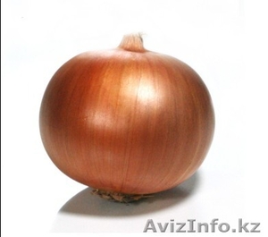 Продам лук (Универсиа) #827751