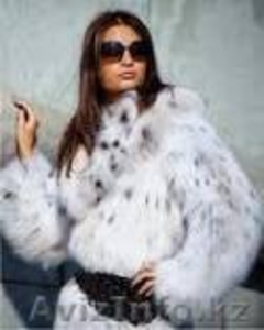 Норковые шубы в рассрочку и в кредит #830469
