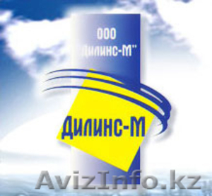 Бытовая химия Дилинс - М #818823