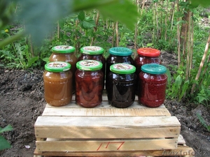 Мед пчелиный натуральный. Домашнее ВАРЕНЬЕ #828949