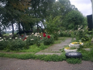 продам к/х близ Алматы #821935