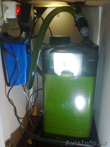 продам       АКВАРИУМ       FAMOUS #815680