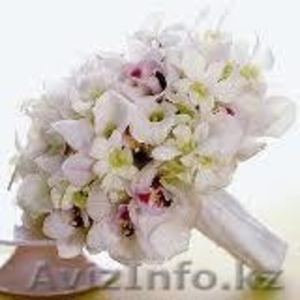 Оформление свадебных мероприятий #828556