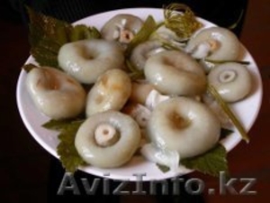 грибы белые соленые #828409