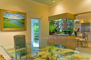 Эксклюзивные аквариумы #816727