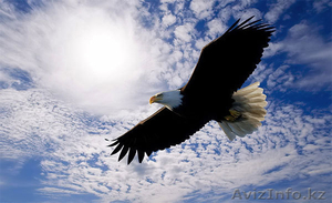 Менеджер - супервайзер в Караганде #843669