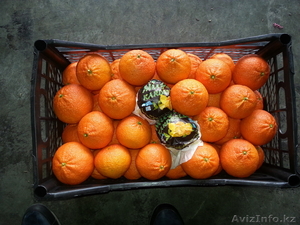 ФРУКТЫ И ОВОЩИ ОПТОМ ОТ 1КОНТЕЙНЕРА #843555