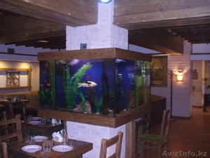 Аквариум в Алматы на заказ #850485