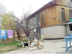 Дом 6 комнат 180 м2   15  соток  медеуский р-н ,  #843995