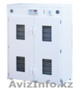 Инкубаторы производство ФРГ #833736