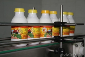 Верблюже молоко 