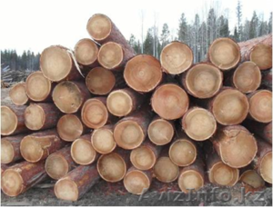 Пмломатериалы продажа досок,  брусков,  и т.д. #837952