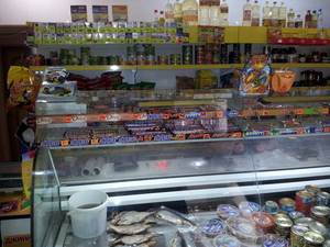 Продам действующий продуктовый магазин в Темиртау #852073