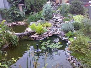 Озеленение. Благоустройство. Ландшафтный дизайн. Красиво и качественно! #860857