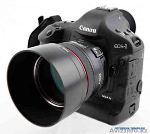 Golden wedding studia #868058