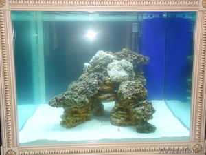 Аквариум.Изготовление, оформление.Море-пресноводный. #870677