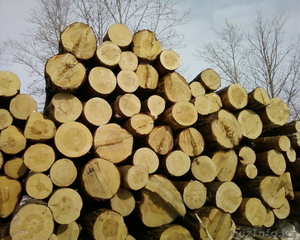 лесоматериалы и строиматериалы #851820