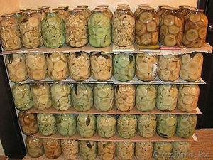 продам грибы (желательно оптом) #852867