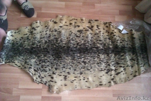 шкура нерпы акиба #867631