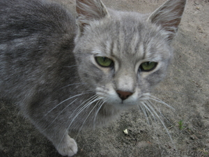 требуется помощь #855018