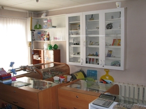 Продам хозяйственный магазин #644206