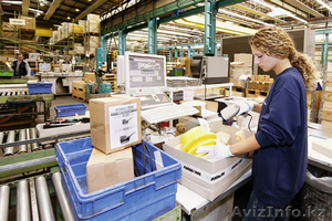 Поставка и продажа запчастей на технику AMMANN #869004