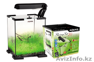 Аквариум- подарок на 8 марта #852244