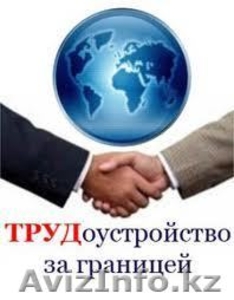 Работа в Польше  #865052