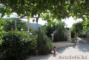 Отдых в Крыму,  с. Приветное Алуштинского района #853678