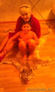 возьму  молодую девушку на подселение #851633