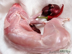 Продам мясо домашнего кролика #750340