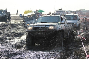 фото - на любой вкус! #880787