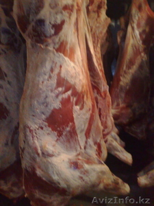 мясо говядина конина блочное оптом #886598