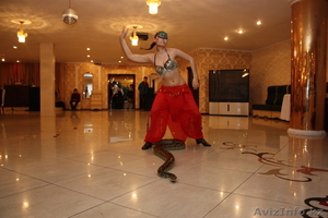 Экзотический танец со змеей и огнем #891756