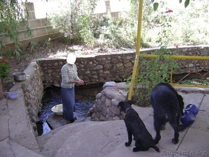 Внимание продается фамильное поместье. #874674