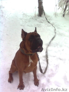 предлагаем для вязки..... #881237