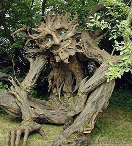 Уход за участком, стрижка газона, озеленение, обрезка, чистка, посадка  #890503