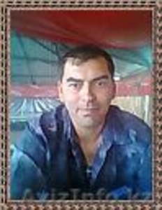 ищу работу водителем кат.вс #874454