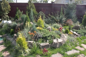 ТОО Кок терек Байтерек #879754