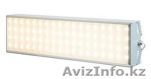 Светодиодные светилники	 #892952