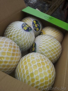 Мандарины Апельсины #801849