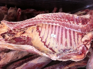 Продам говядину Беларусь коровы 110   #883197